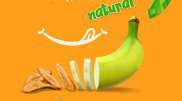 128427068_172752431186451_8611429052682619139_n